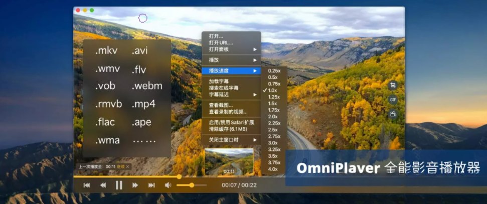 OmniPlayer软件简介